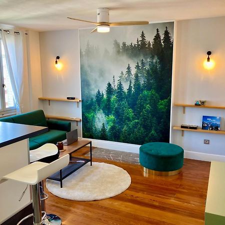 Le Nivolet, Cosy Appartement Chambéry Buitenkant foto